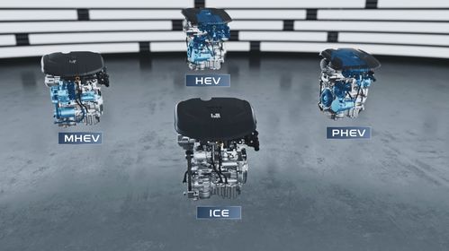 15年后無(wú)純?nèi)加蛙?chē) 新能源技術(shù)路線2.0 發(fā)布 這家車(chē)企眼光太牛了