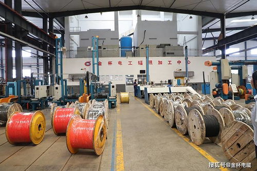 電線(xiàn)電纜可以用幾年 如何延長(zhǎng)使用壽命