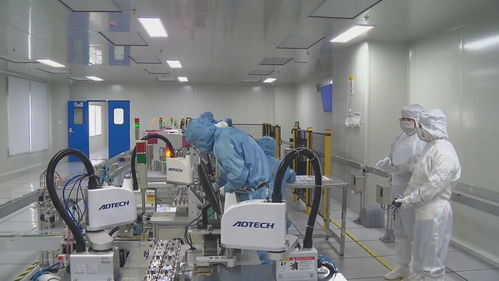 疫情之下 內外發力 企業發展添助力