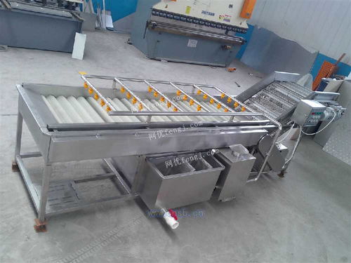 四季香蔥清洗風(fēng)干線與小蔥清洗線 高效清洗技術(shù)與新型汽輪機(jī)的研發(fā)及銷(xiāo)售