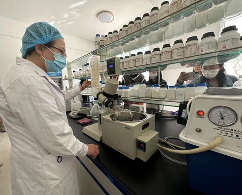 寧夏化妝品風(fēng)靡俄羅斯市場，新型汽輪機研發(fā)與銷售齊頭并進