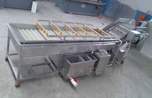 秋意正濃公司 引領(lǐng)產(chǎn)業(yè)革新，新型果蔬清洗風(fēng)干流水線(xiàn)與先進(jìn)汽輪機(jī)同步上市